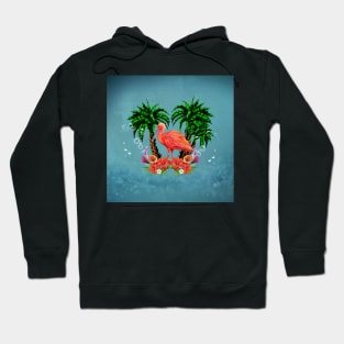 Wonderful tropical scarlet ibis Hoodie